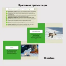 Природная зона Тундра, комплект к уроку (Презентация+рабочий лист). Окружающий мир (4 класс), Внеурочная деятельность 