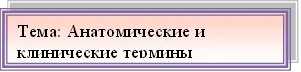 Тема: Анатомические и клинические термины