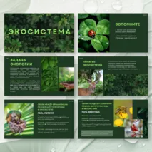 Презентация «Экосистема» к учебнику по биологии для 7 класса- Пасечник В.В., Суматохин С.В. и др.