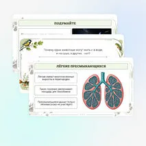 Презентация по биологии «Дыхание животных»