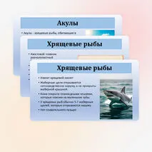 Презентация по биологии «Хрящевые и костные рыбы» 8 класс