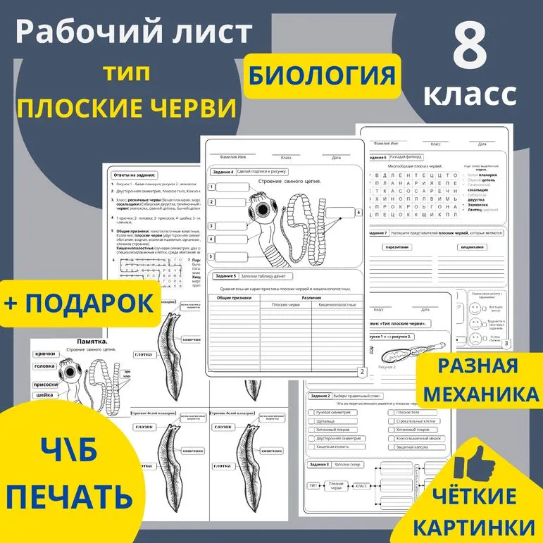 Рабочий лист по биологии на тему: 