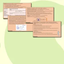Презентация по биологии 