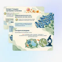 Презентация 