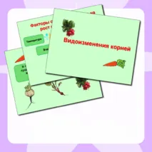 Презентация к уроку биологии 