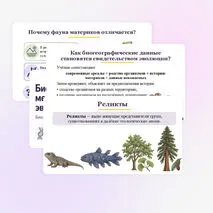 Презентация по биологии 