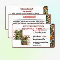 Презентация 