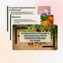 Презентация «Особенности строения и жизнедеятельности покрытосеменных растений»