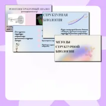 Презентация 