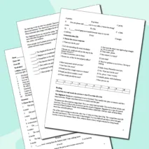 Входная контрольная работа по английскому языку для 7 класса (Entry Test -7)