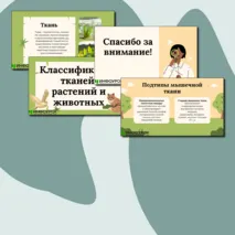 Презентации по биологии на тему:«Классификация тканей животных и растений»
