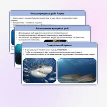 Хрящевые и костные рыбы.