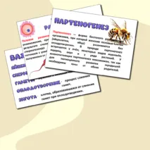 Презентация «Размножение и развитие животных». Биология 8 класс.