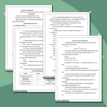Практическая работа по химии на тему: 