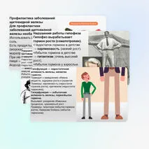 Презентация Нарушение деятельности эндокринных желез и их предупреждение
