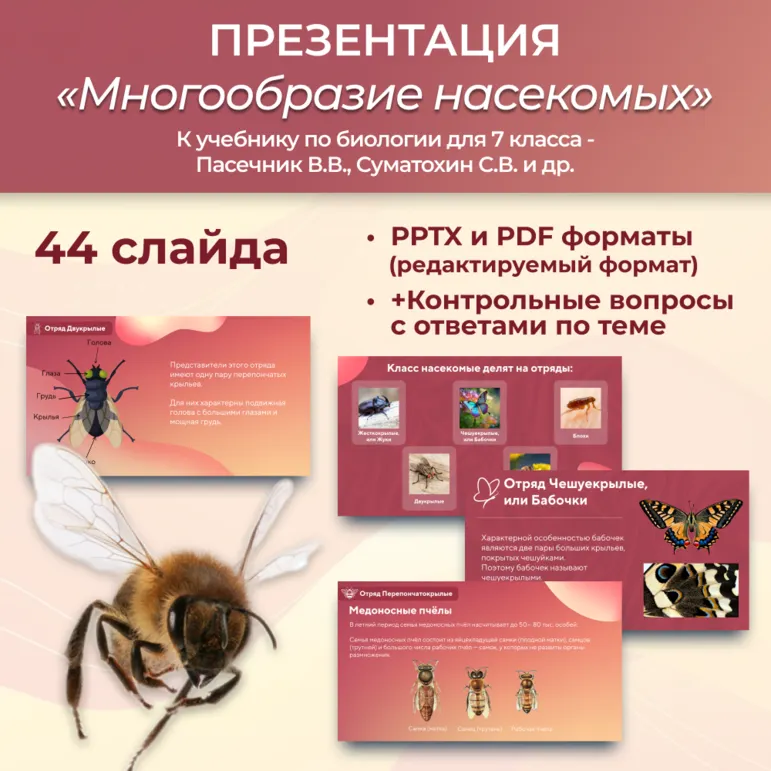 Презентация «Многообразие насекомых» к учебнику по биологии для 7 класса- Пасечник В.В., Суматохин С.В. и др.