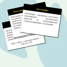 Презентация по биологии на тему 