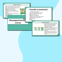Презентация «Жизнедеятельность клетки». Биология 6 класс