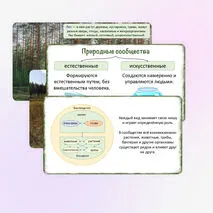Презентация «Понятие о природном сообществе. Взаимосвязи организмов в природных сообществах», 5 класс