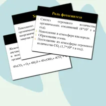 Презентация по биологии на тему 