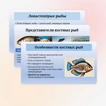 Презентация по биологии «Хрящевые и костные рыбы» 8 класс