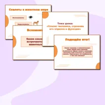 Презентация и раздаточный материал к уроку 