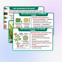 Презентация 