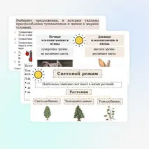 Презентация 