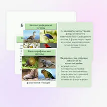 Презентация по биологии 