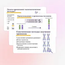 Презентация 