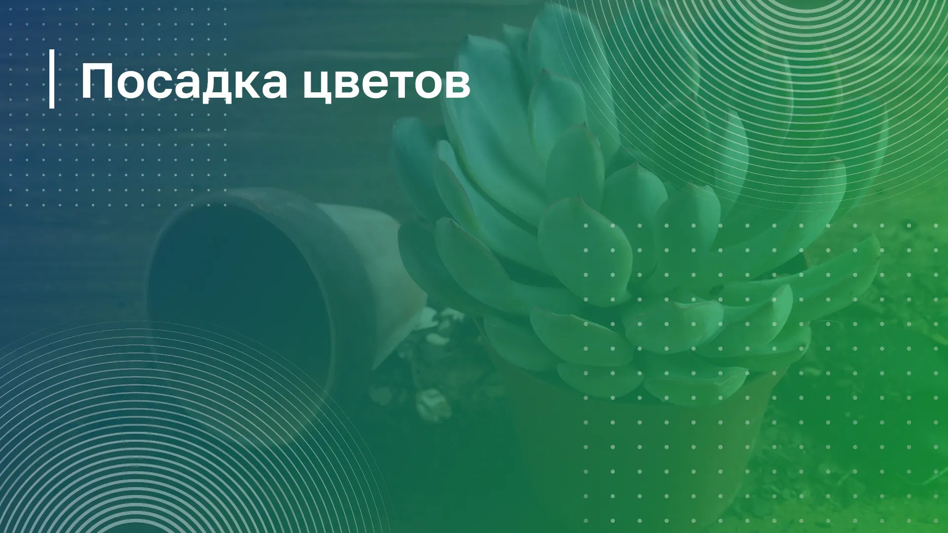 Обложка курса