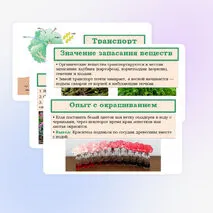 Презентация «Транспорт веществ в растении» 6 класс
