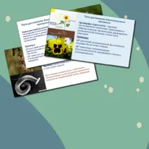 Презентация по биологии. 11 класс. Тема: «Направления и пути макроэволюции».