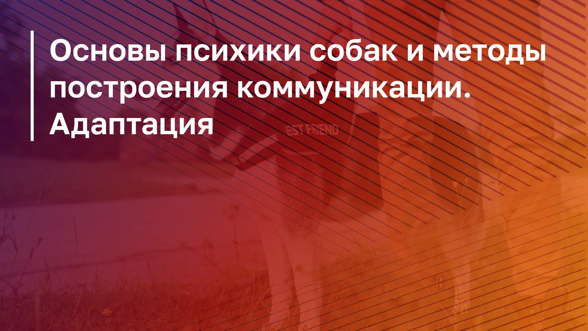 Обложка курса