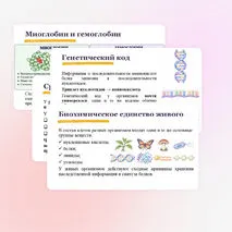 Презентация 