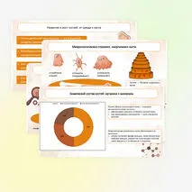 Презентация 