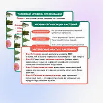 Презентация 