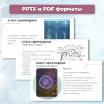Презентация «Многообразие кишечнополостных» к учебнику по биологии для 7 класса- Пасечник В.В., Суматохин С.В. и др.