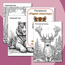 Раскраска 