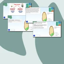 Презентация 