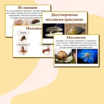 Наглядный материал 
