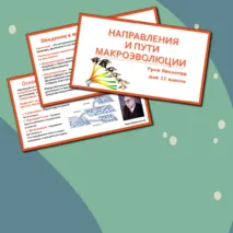 Презентация 