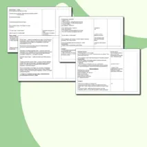 Конспект индивидуального коррекционно-развивающего занятия на развитие памяти 