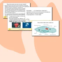 Презентация для урока по биологии 8 класс 