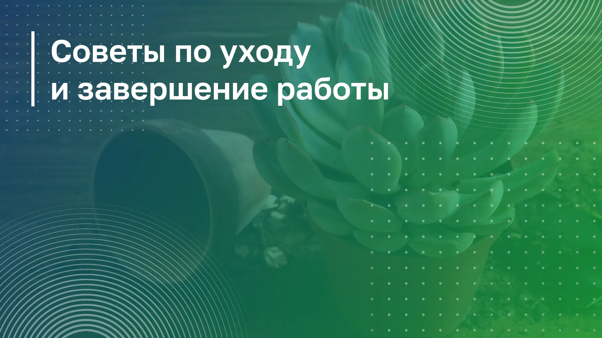Обложка курса