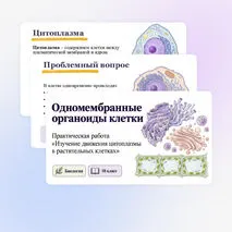 Презентация 