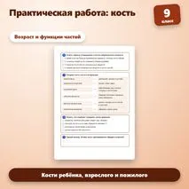 Практическая работа «Исследование свойств кости» по биологии для 9 класса
