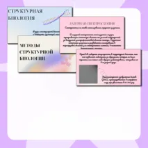 Презентация 