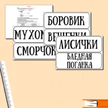 Проверочная работа. Окружающий мир 