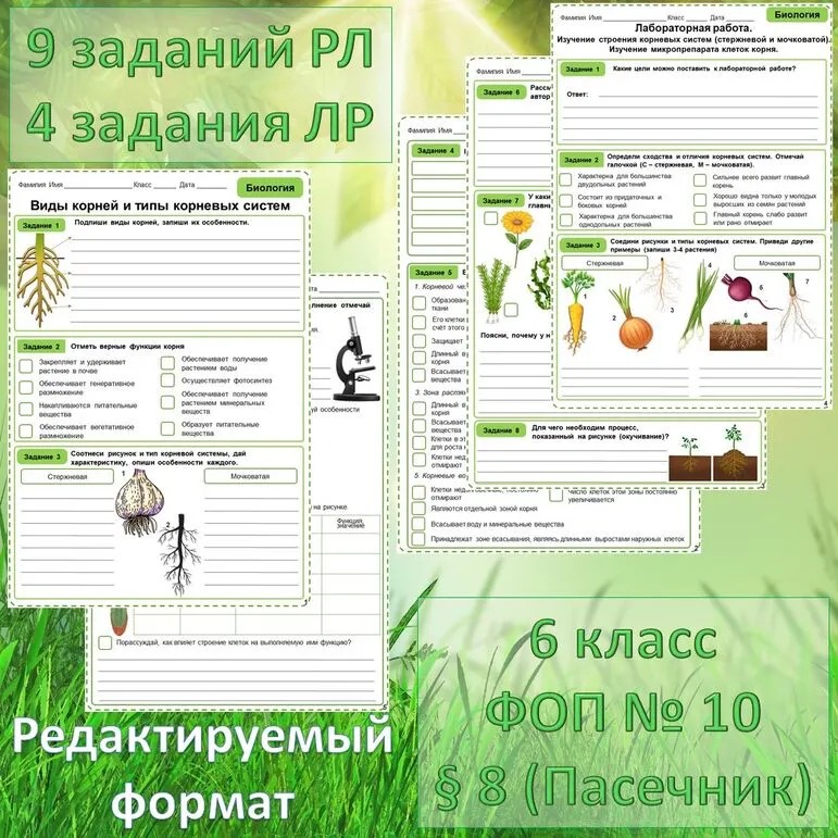 Биология. 6 класс. 